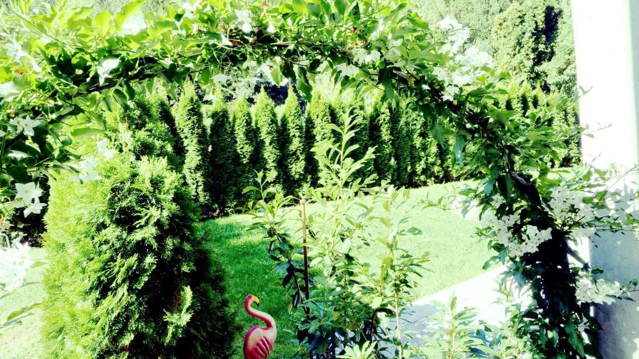 Flamind Holiday Apartments Mit Garten Und Grill Altenberg bei Linz Zewnętrze zdjęcie